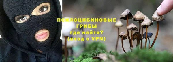 крисы Алексин