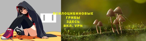 крисы Алексин