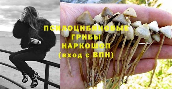 твердый Алексеевка