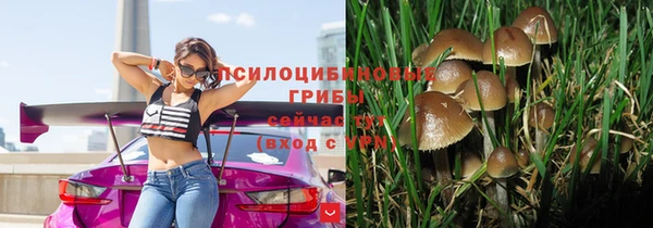 твердый Алексеевка