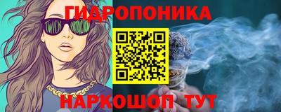 дмт Дубна
