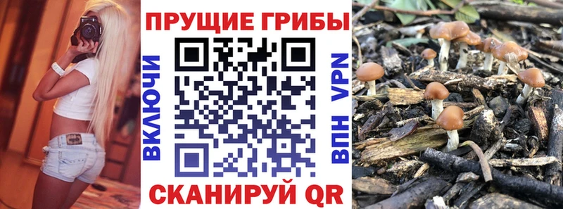 Псилоцибиновые грибы мицелий  где купить наркотик  Полысаево 