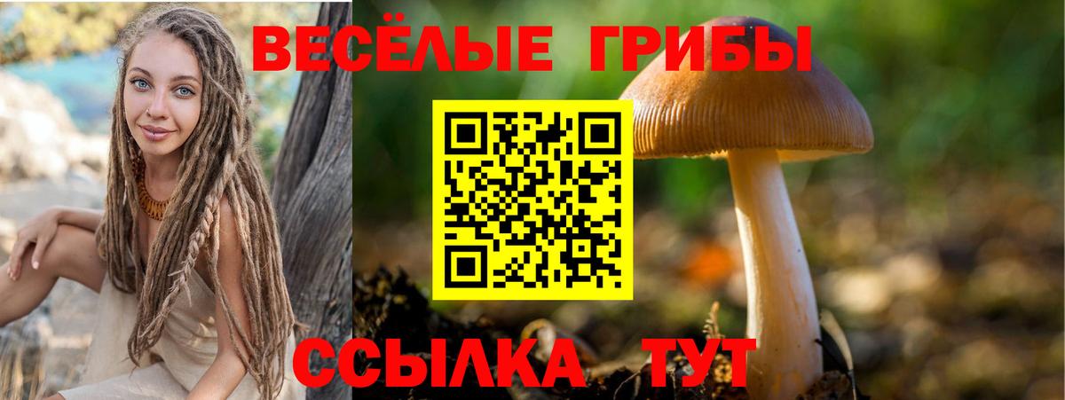 Полысаево  Псилоцибиновые грибы Psilocybine cubensis  Вход с VPN 
